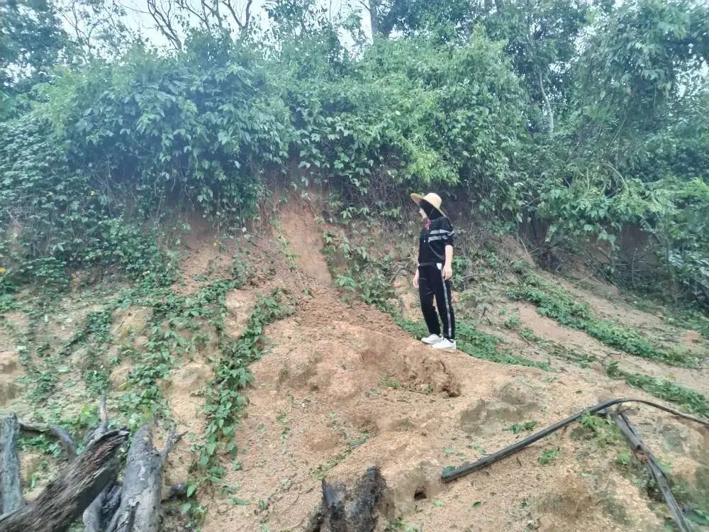 图|区资规局实地巡查处理4处孕灾点和1处道路旁山体受灾情况。