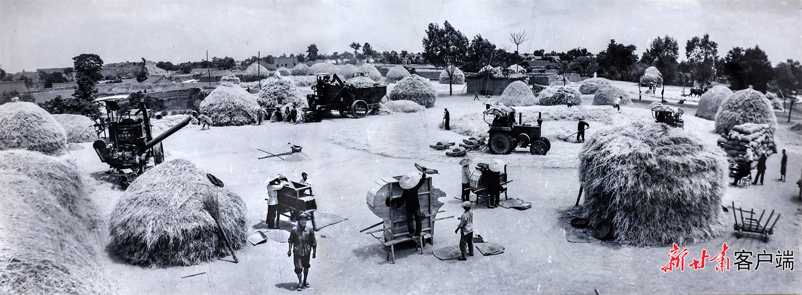 AI复活老照片　60年前陇原夏日“丰”景有多美
