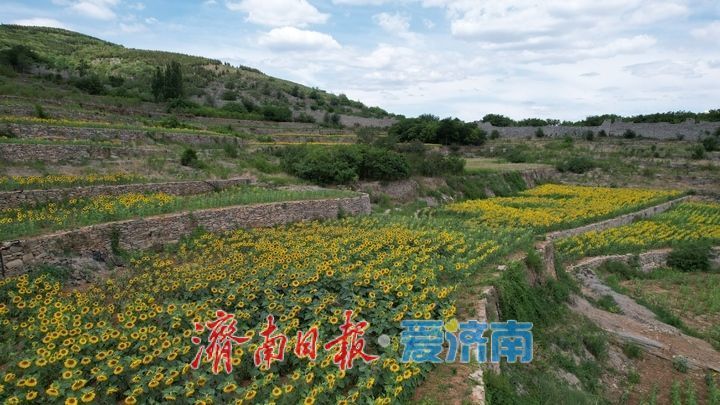 千年雄关花海盛放，古长城焕发新生机