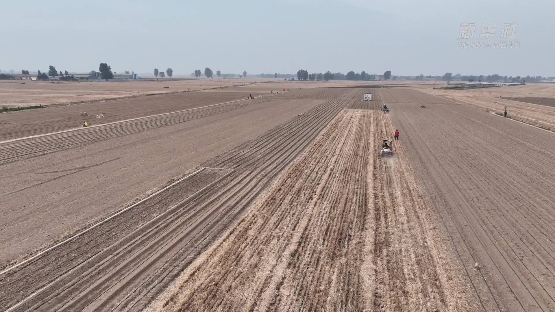 北斗导航提升种植效率 农业科技助力夏种生产