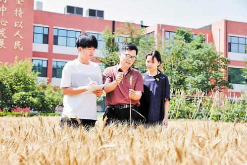 6月16日，在唐山市第六十中学“开心农场”内，老师正在给学生讲解小麦知识。