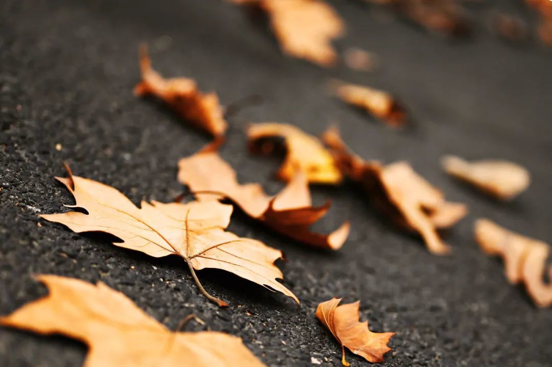 单说天猫“增长”的背后:淘天双平台战略又要摇摆了吗?