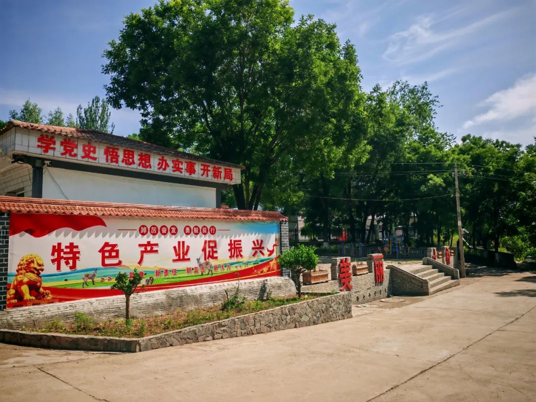 从落后村庄到富裕乡村　华亭头雁领航产业多点开花