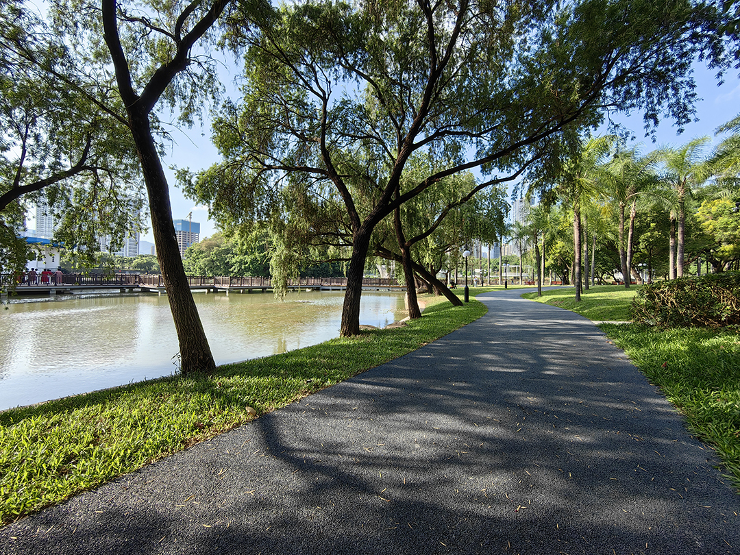 洪湖公园焕新,生态人文融合打造 “荷风印象”