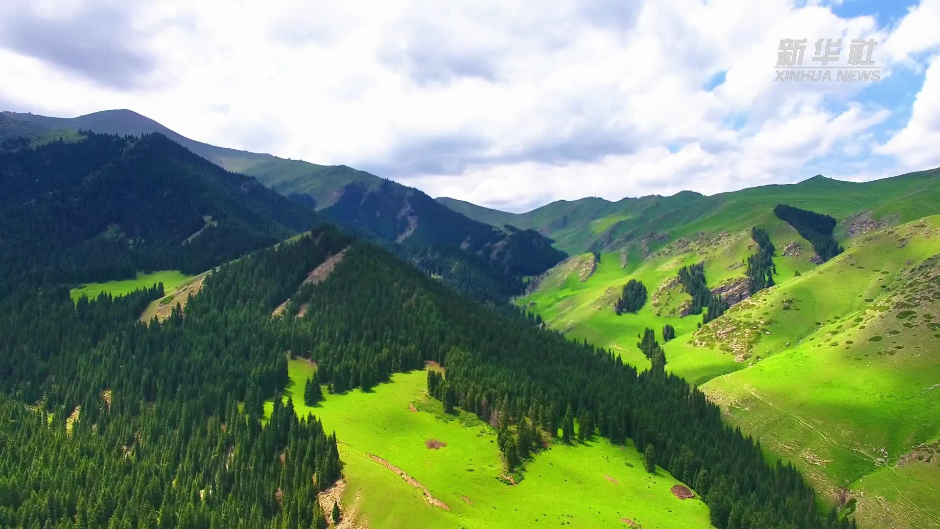 千城胜景｜新疆吉木萨尔：花儿沟绿意漫山