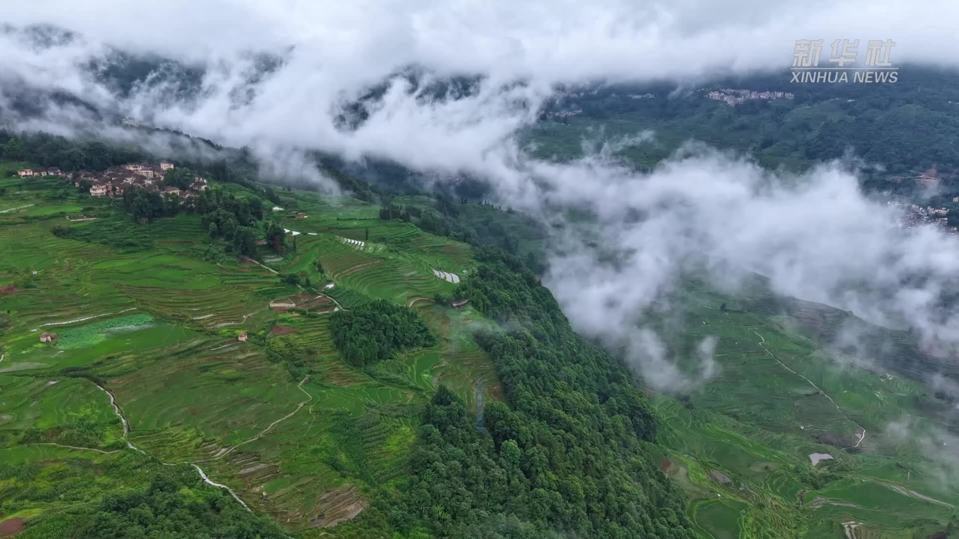 哈尼梯田绿如翡翠 云雾缭绕似仙境