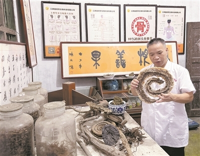 余红岗向记者展示炮制膏药的药材