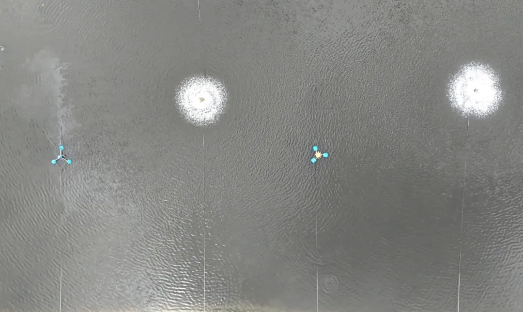 鲈鱼养殖鱼池（万再祥 摄）