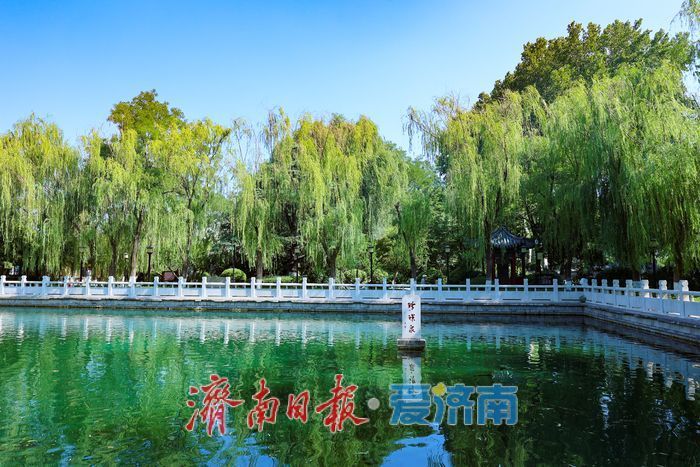 一年四季 泉在济南丨泉涌如珠映晨光 济南珍珠泉夏日清晨氛围感拉满