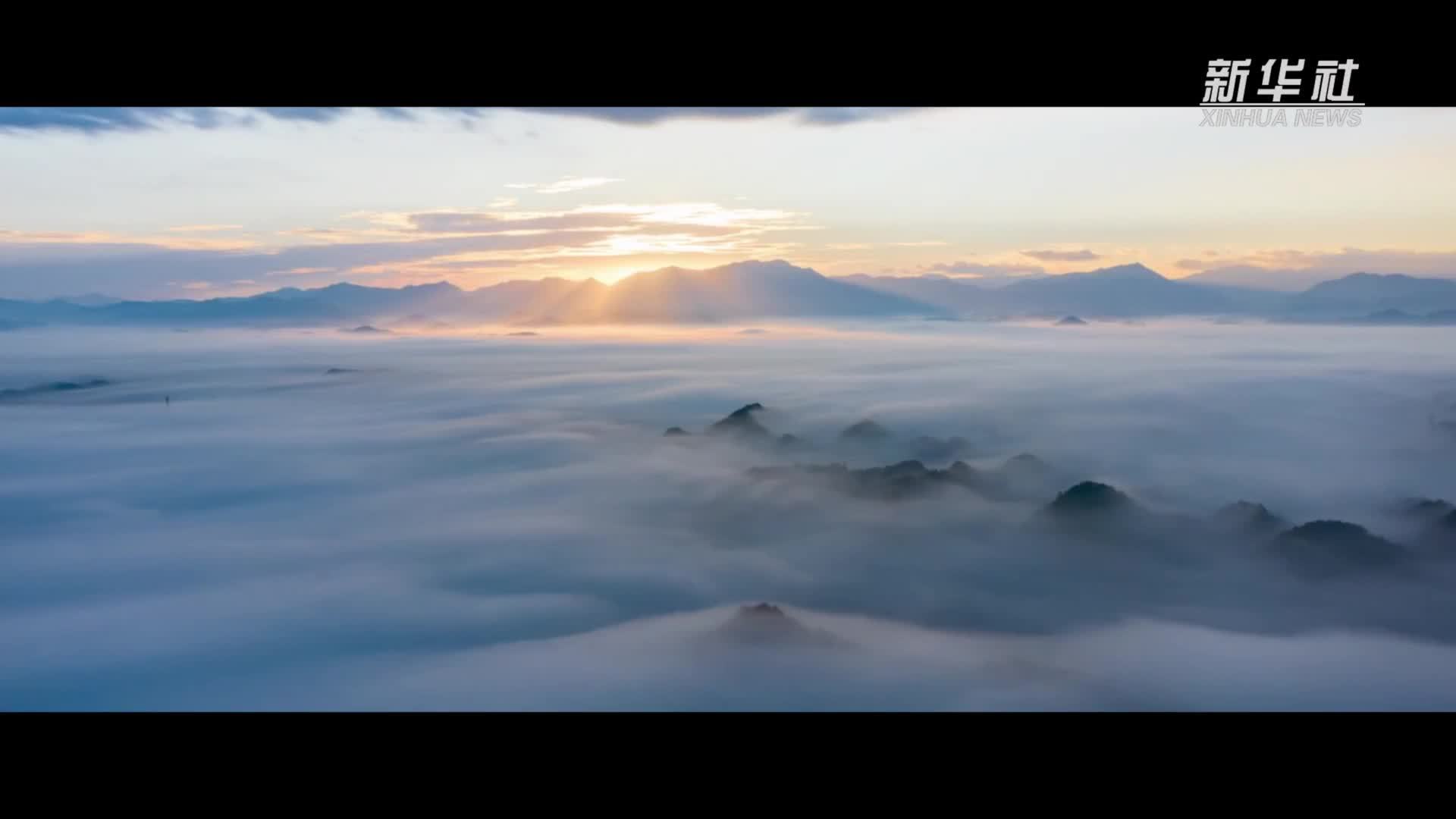 跟着总书记探寻中华文明｜四千八百年前的“神秘符号”