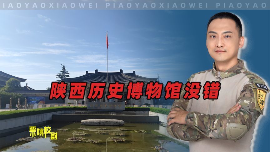 因一条导盲犬引起冲突，陕西历史博物馆没错