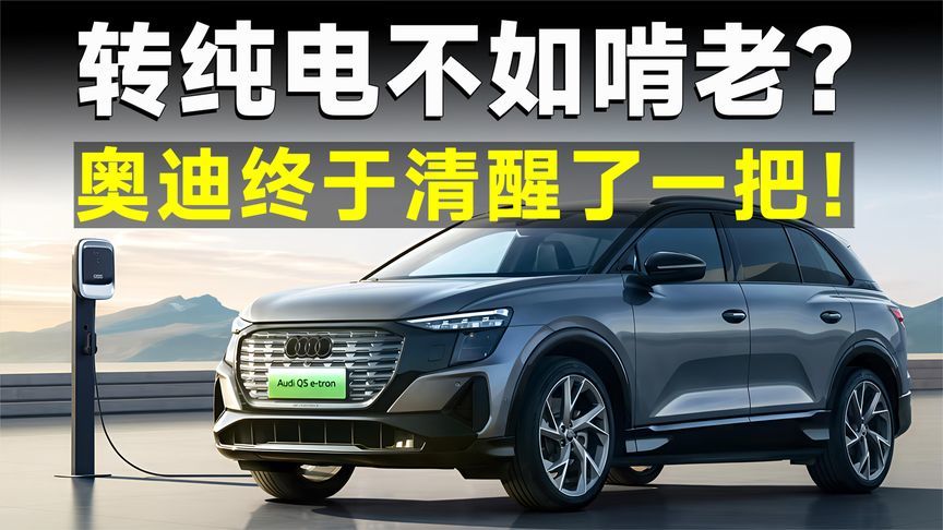 甩锅纯电，卖不好的奥迪，格局就这？