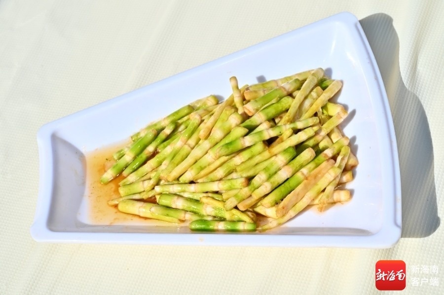 琼中特色野菜雷公笋