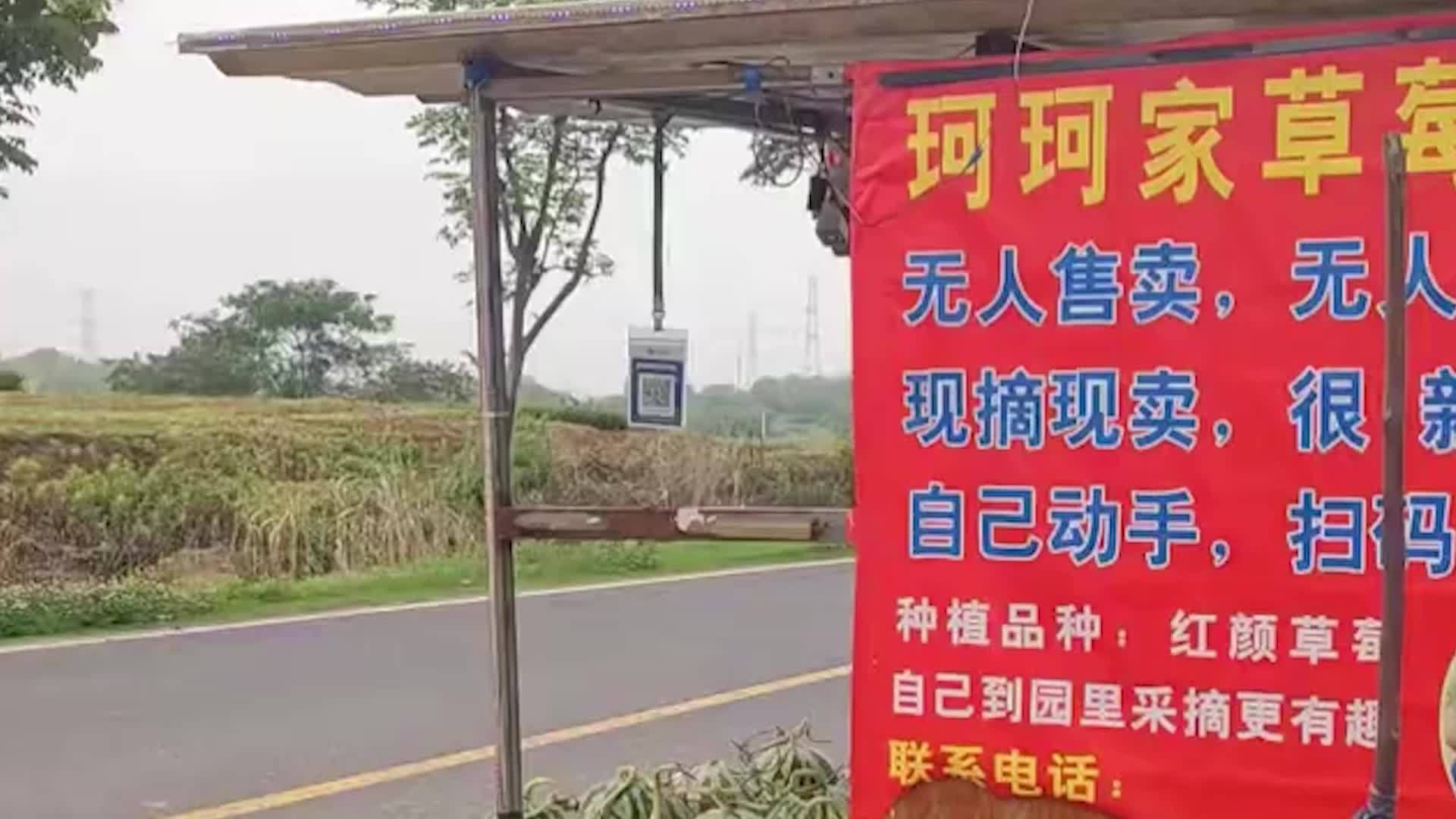 南京一无人瓜摊6年零逃单，摊主：会抹零，无条件退换，有顾客买过两百多次