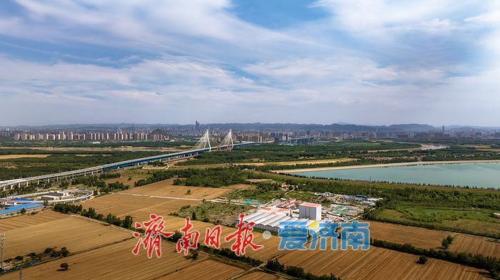 一年四季 泉在济南丨鹊山湖畔翠意浓，生态美景宛如画卷