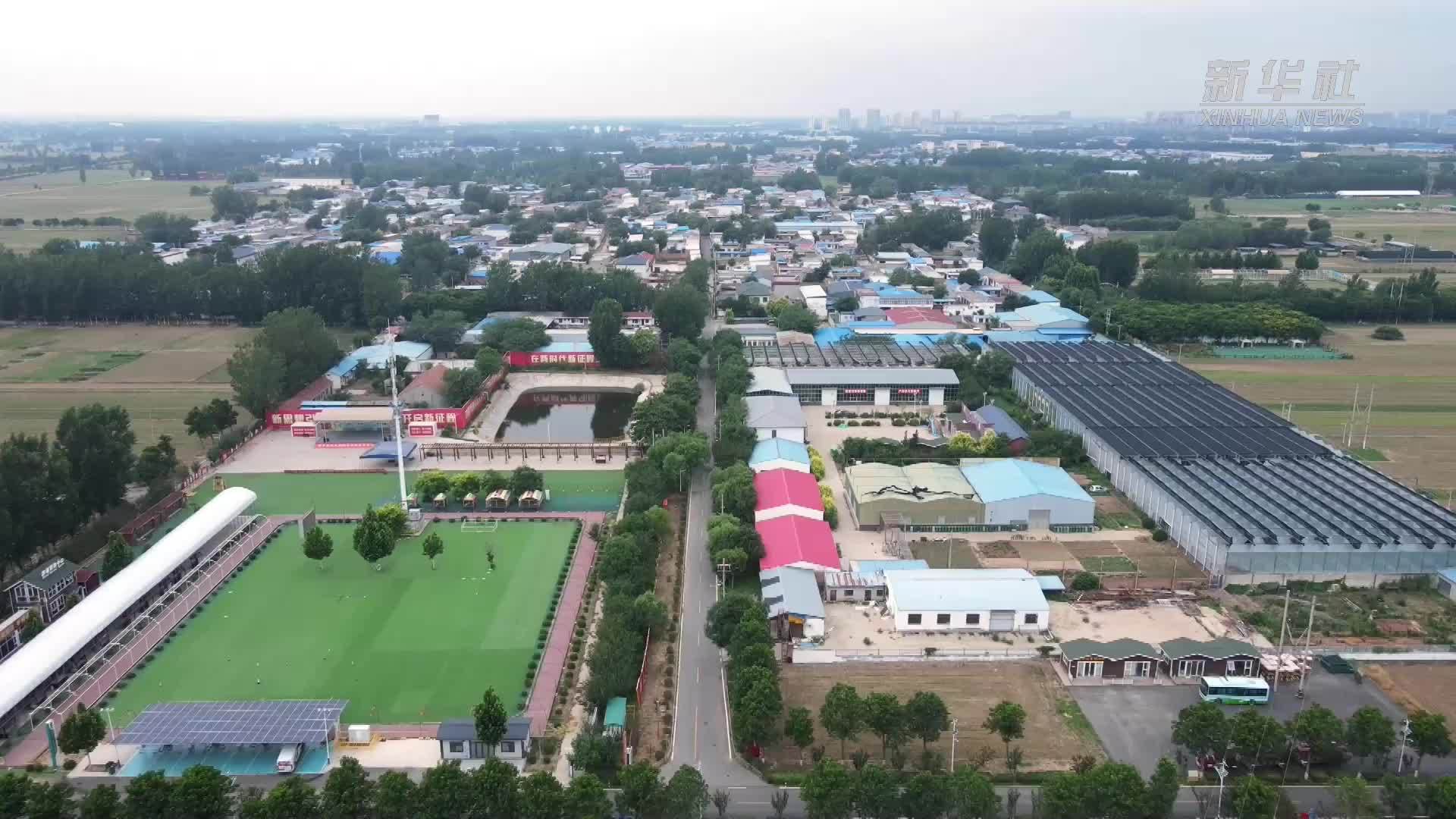 党旗在基层一线高高飘扬丨刘影：扎根乡土 三产融合绘新景