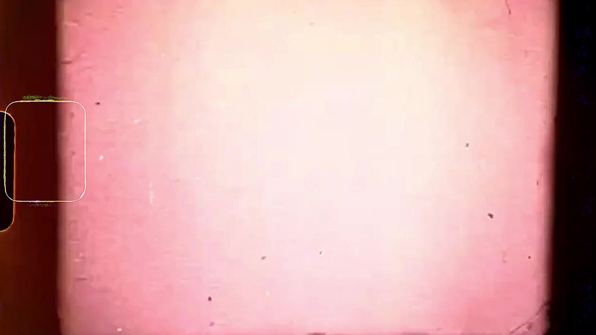 禁毒与反兴奋剂公益宣传片｜中国女子排球队