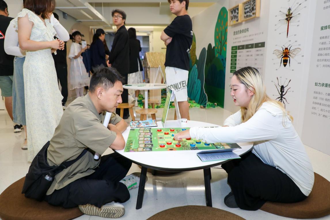 教育学公共教育服务馆校合作教育项目展