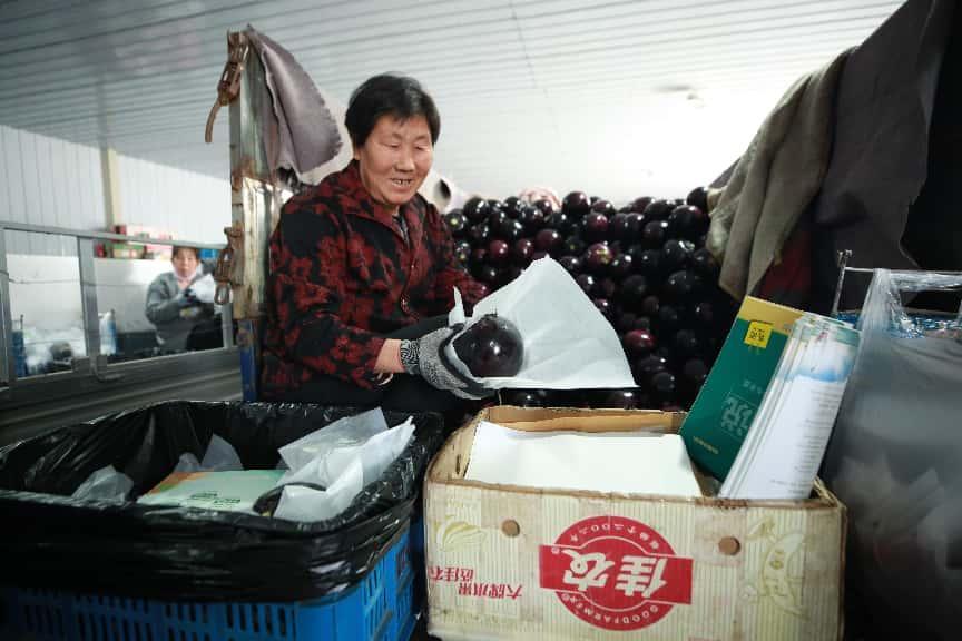 细心包装。李强 摄