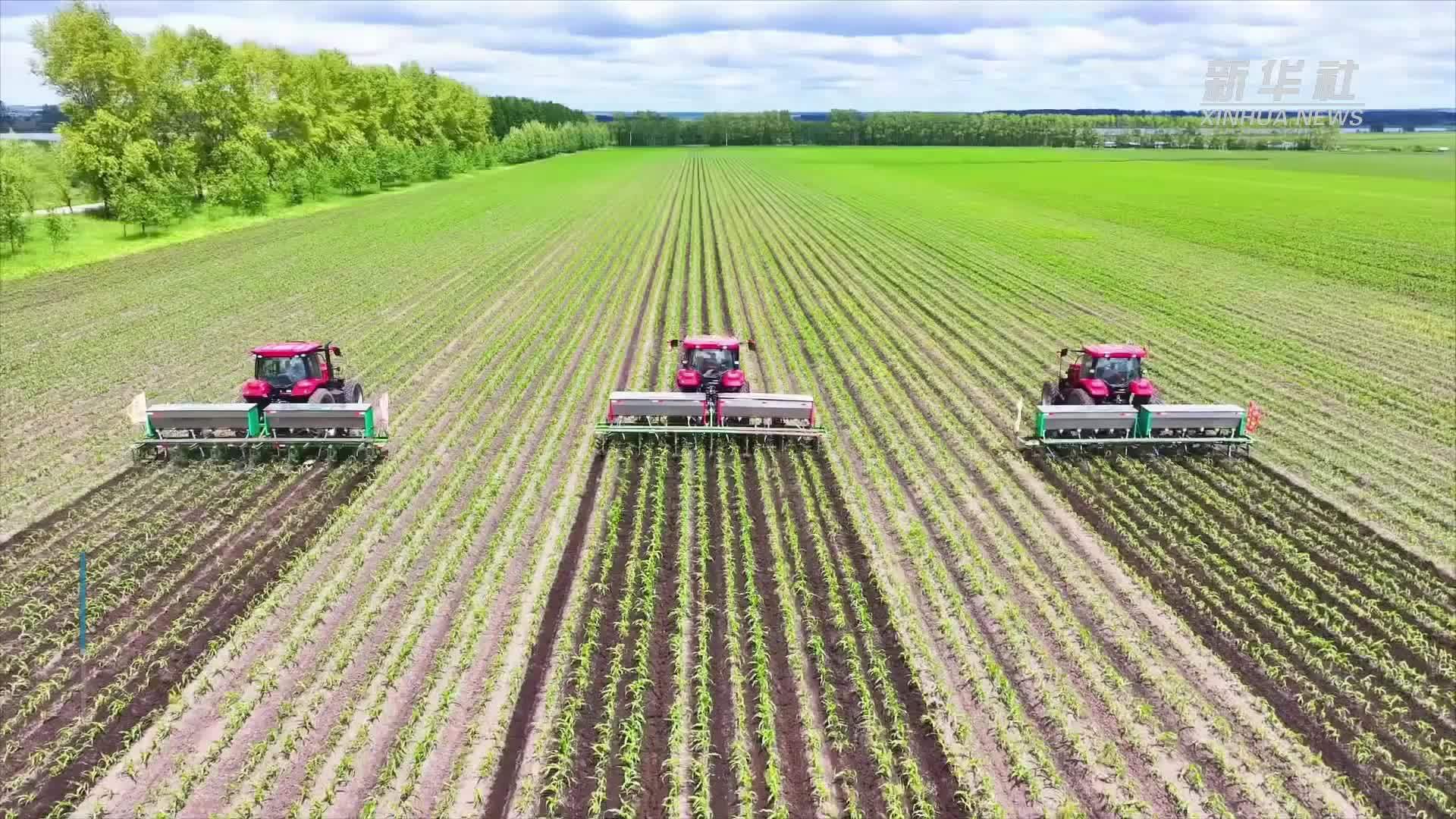 黑龙江垦区：“用养结合”保护黑土地