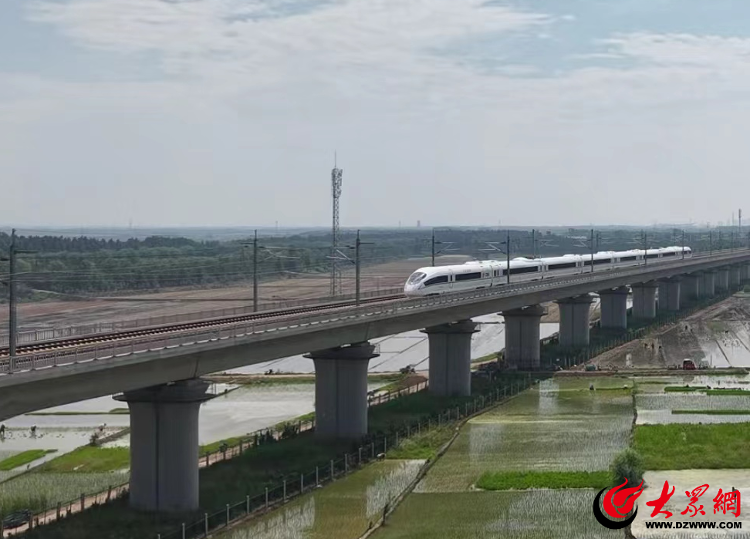 高铁列车穿行而过，与稻田、蓝天相映成景,构成一幅美丽的夏种画卷