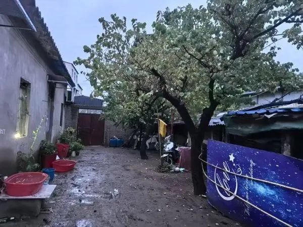 馮珍現在的住所。圖/九派新聞 馬婕盈