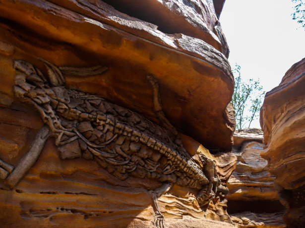 探秘东方伊甸园：一场沉浸式文化生态之旅