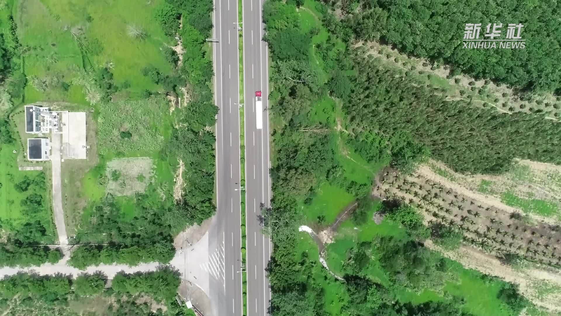 科技赋能 海南昌江甘薯出口实现“零的突破”