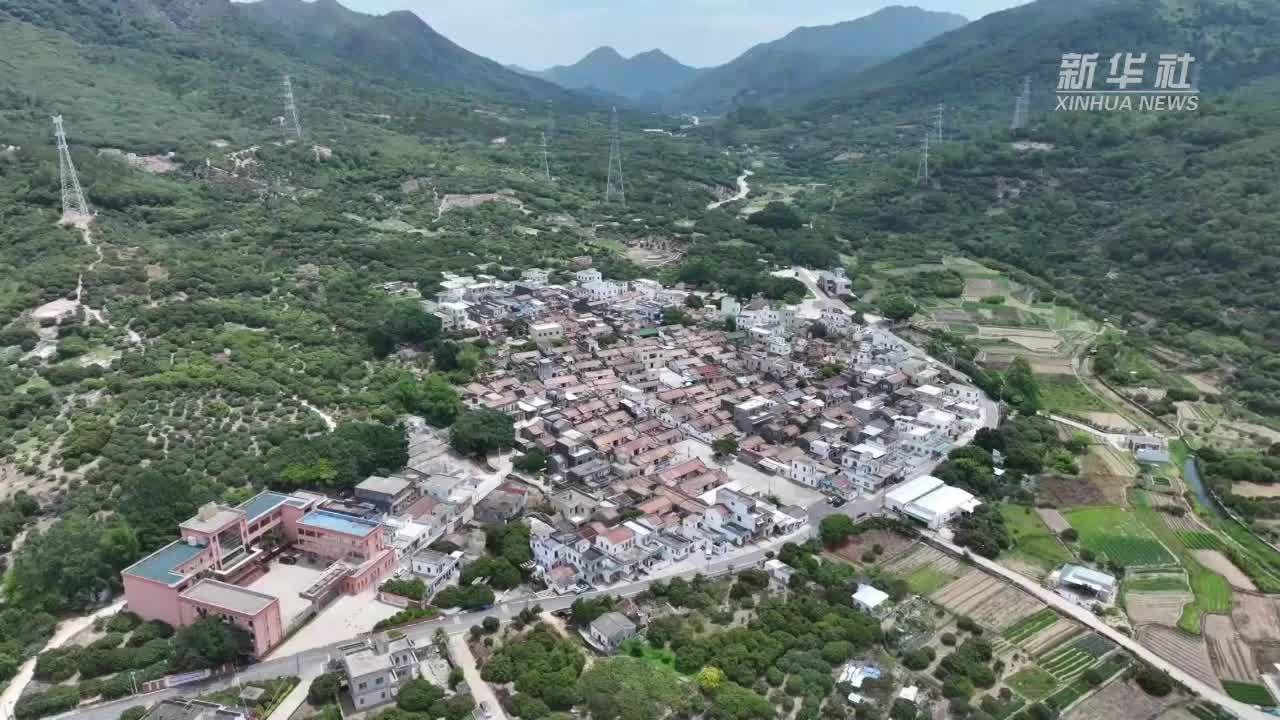 广东汕尾：荔枝产业“甜蜜”升级