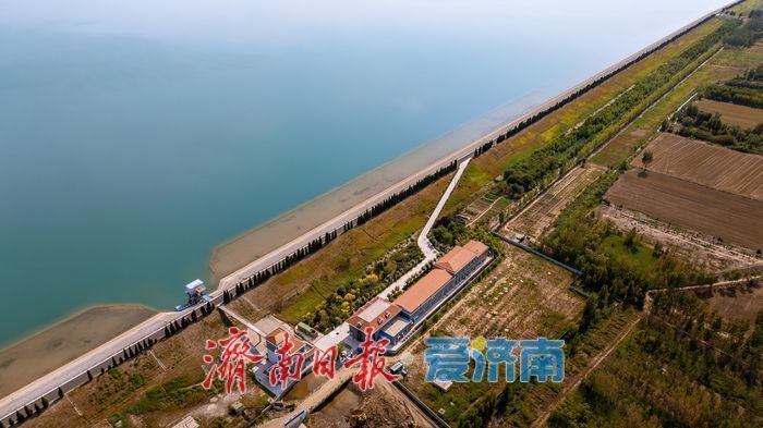 一年四季 泉在济南丨鹊山湖畔翠意浓，生态美景宛如画卷