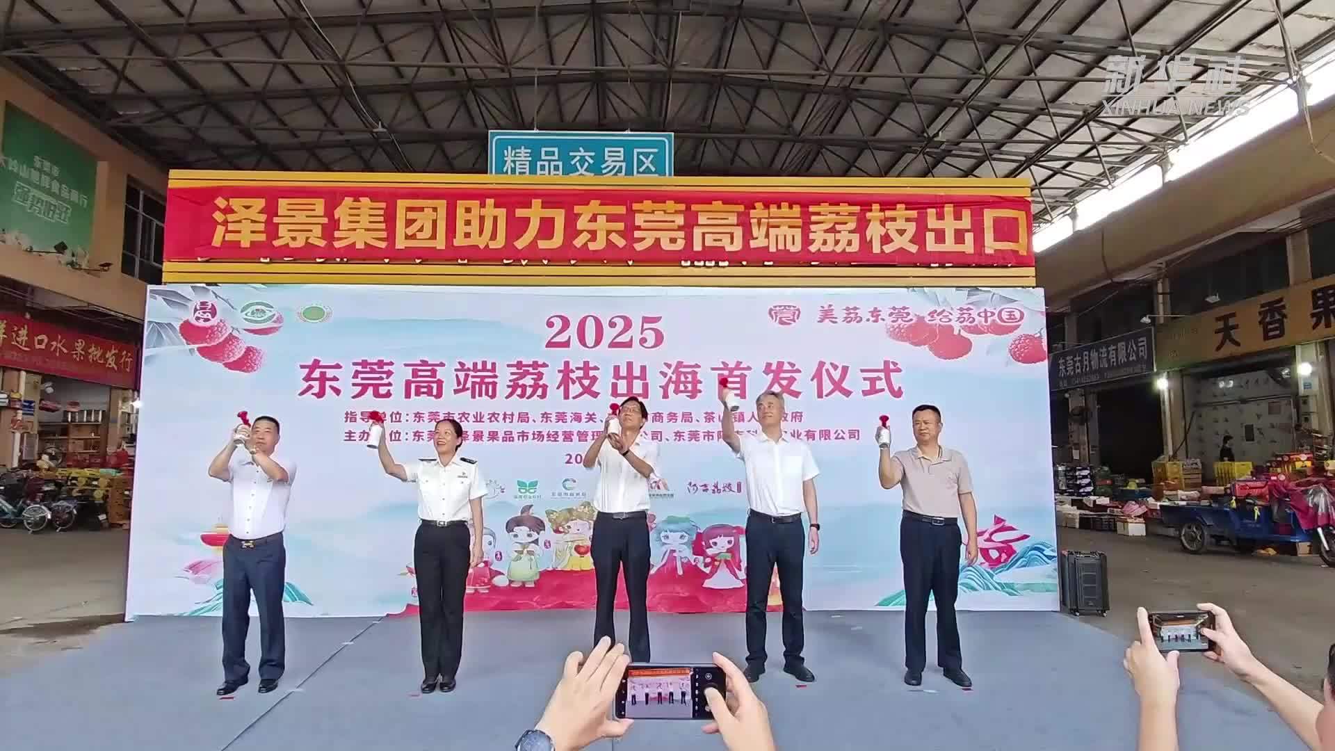 东莞首批大宗荔枝成功出口至迪拜