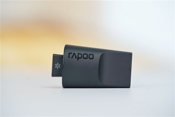 原生级双8K回报率,雷柏VT3S鼠标图赏