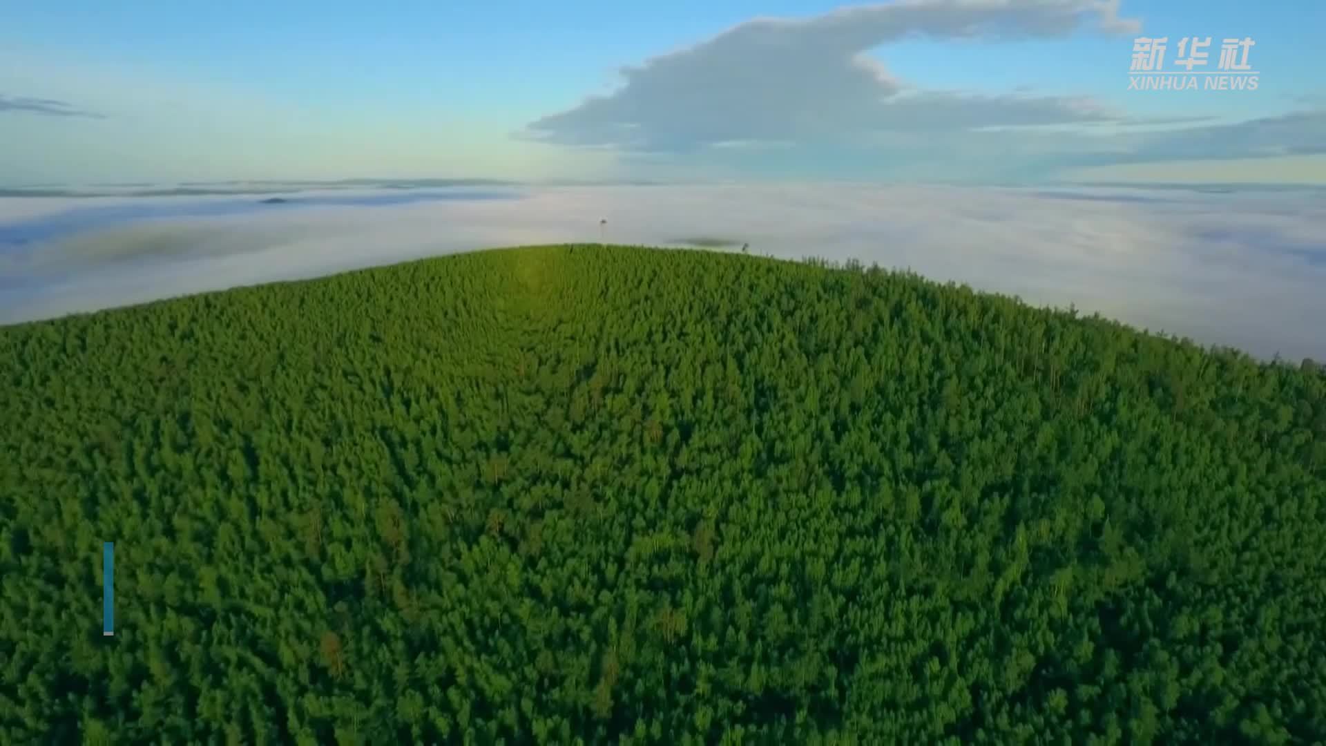 “应急使命·2025”演习成功举行