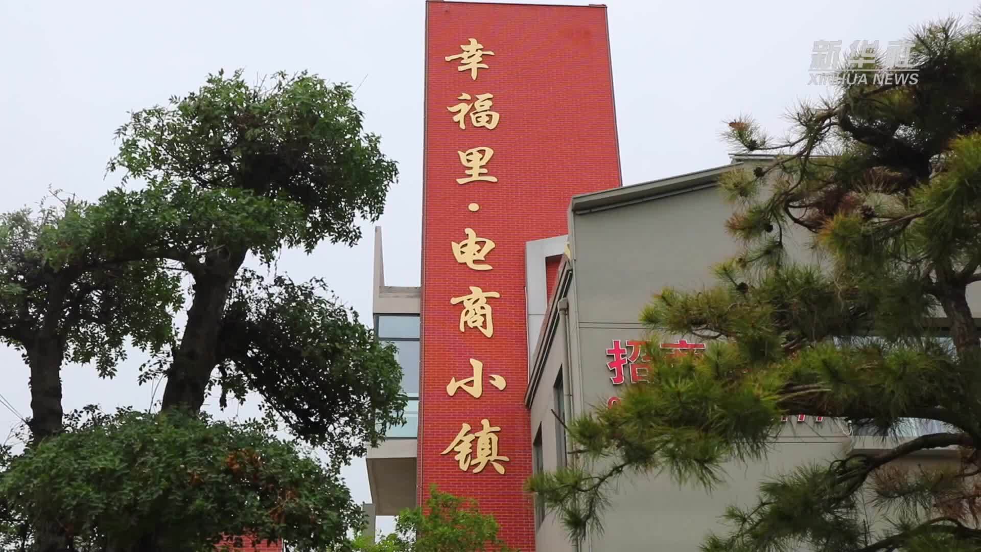 河北邱县：“一品一播”助力县域经济高质量发展