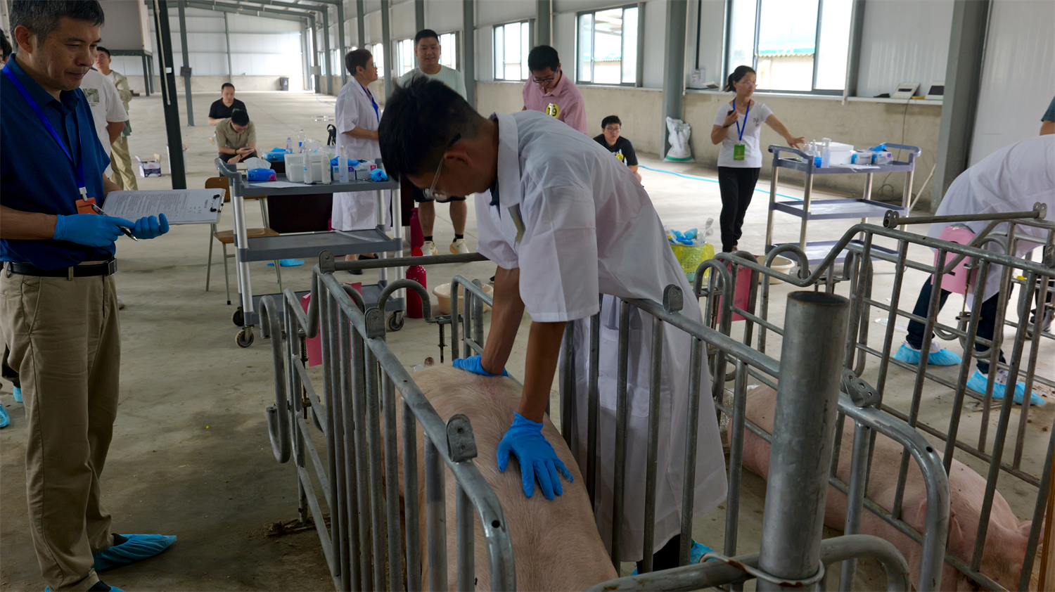 筑牢种业根基 锻造繁育精兵!2025年宁波市家畜繁殖员技能群英赛圆满举行