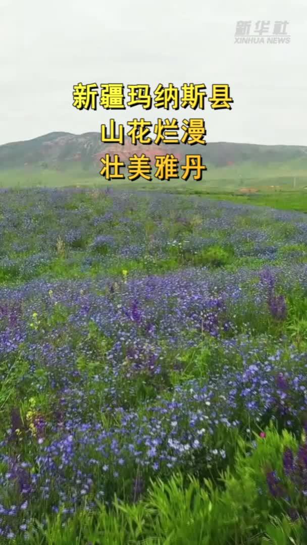 新疆玛纳斯县：山花烂漫 壮美雅丹