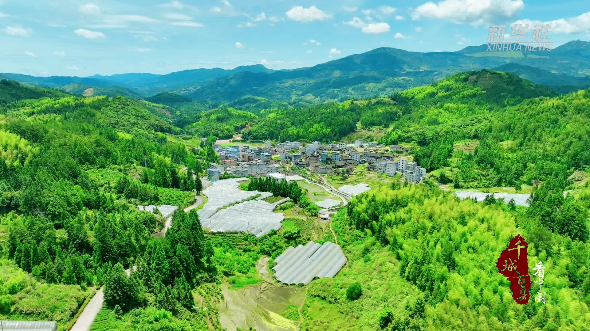 千城百县看中国｜福建周宁：云端绽放的花之秘境