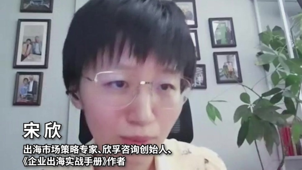 宋欣：在海外击溃企业的往往不是友商而是行业协会