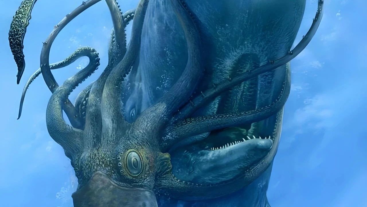 抹香鲸的声纳系统与深海鱿鱼大餐的奥秘