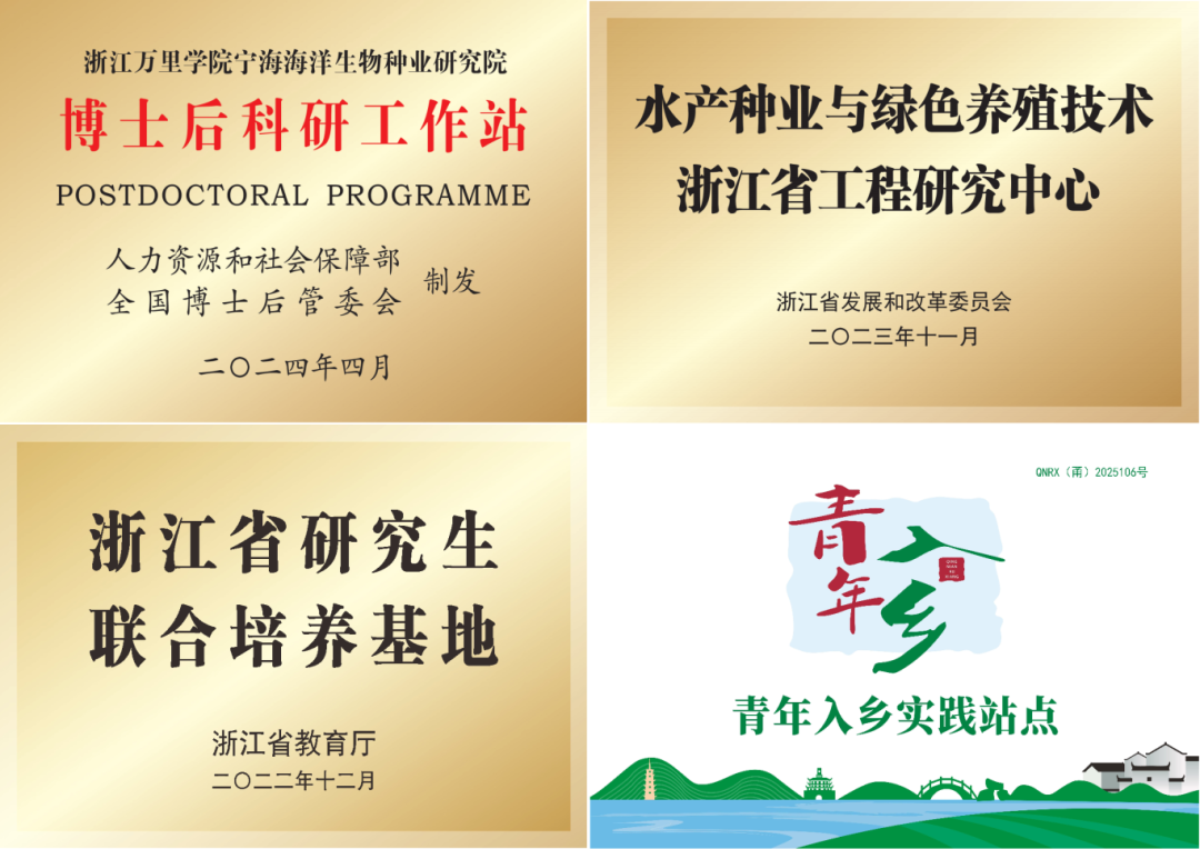 图片 2.png