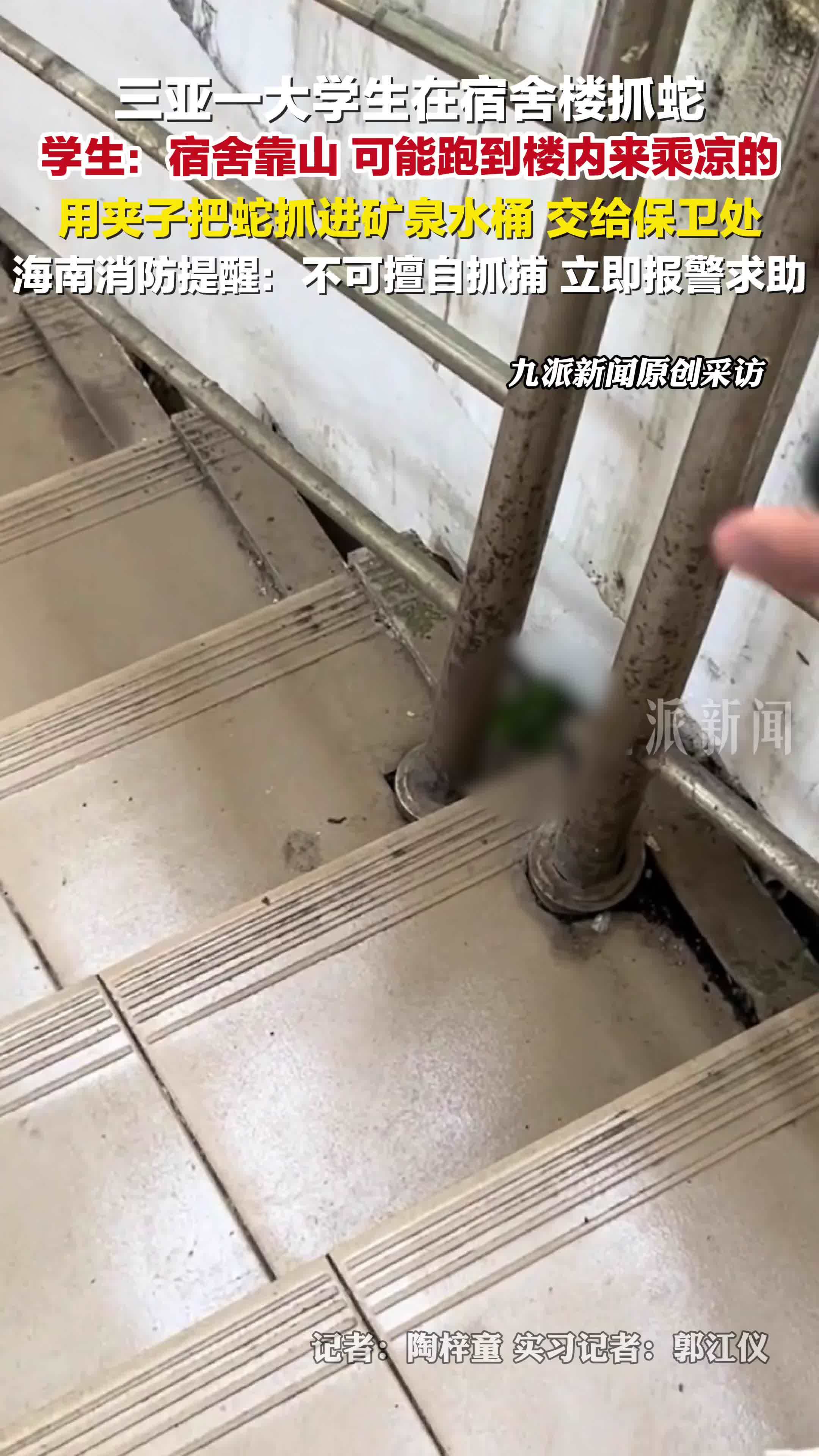 6月28日报道，海南三亚大学生宿舍楼抓蛇 ：宿舍靠山，可能跑到楼内来乘凉的