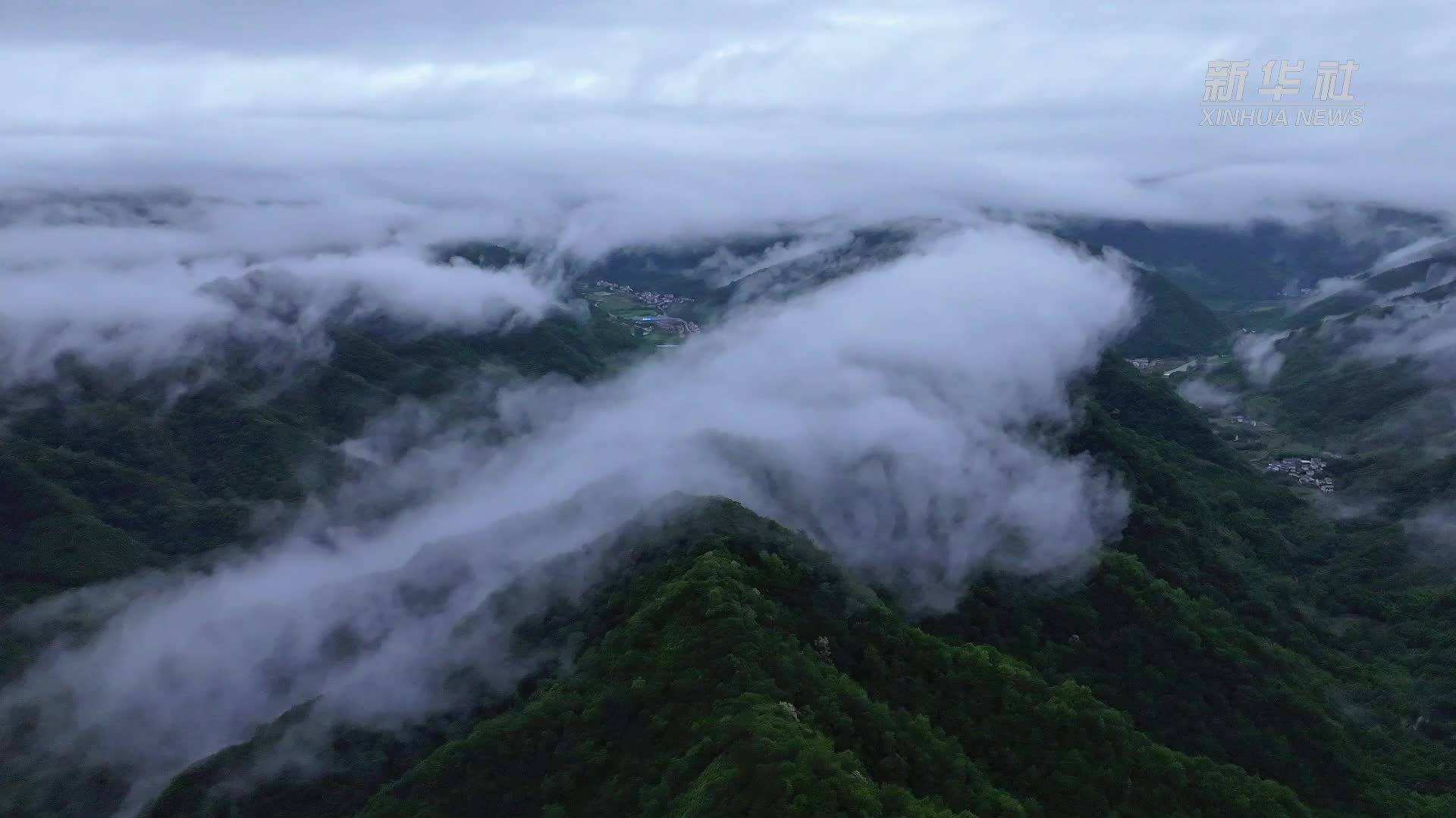 安徽仙寓山：白云吞峻岭 银浪卷长空