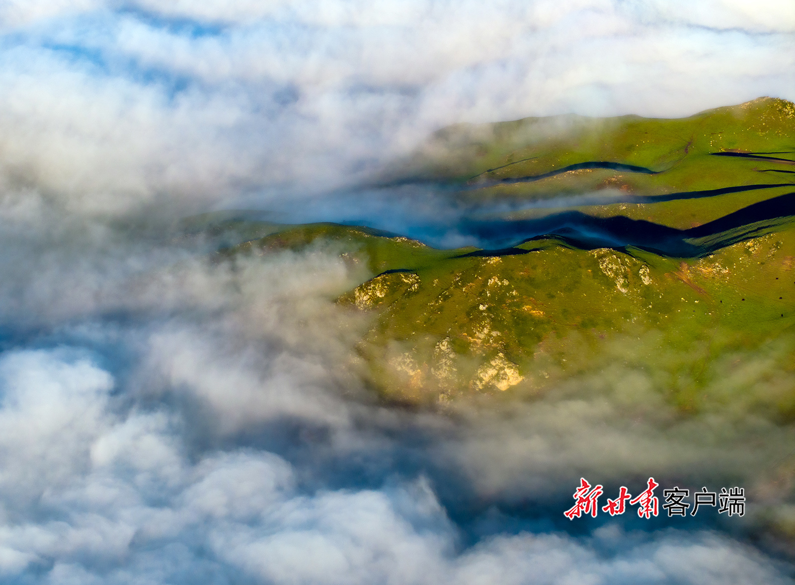 陇南宕昌：云海日出　壮美如画