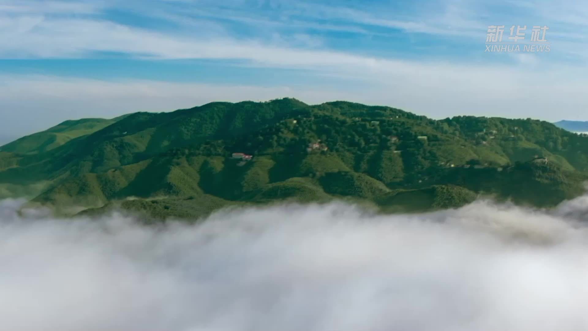 中国经济样本观察·县域样本篇｜浙江小县城如何炼成“国际范”？