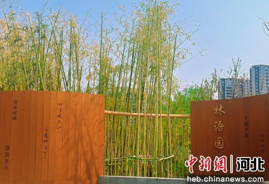 图为林语园。 张岩 摄