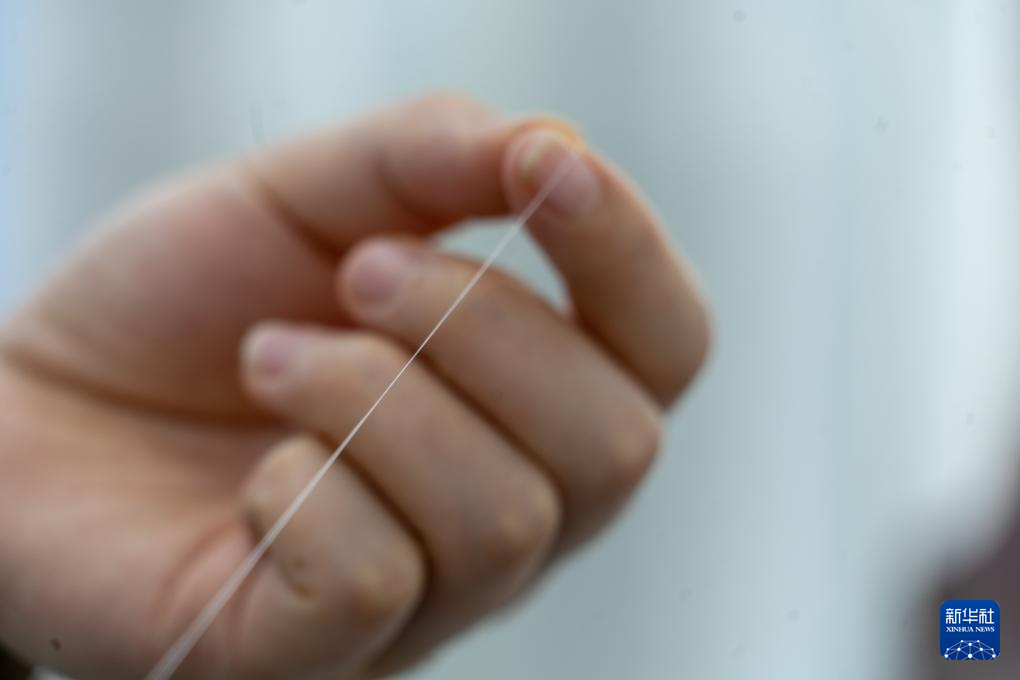 元源新材料公司工作人员展示玻纤纱（6月16日摄）。 新华社记者 郭杰文 摄