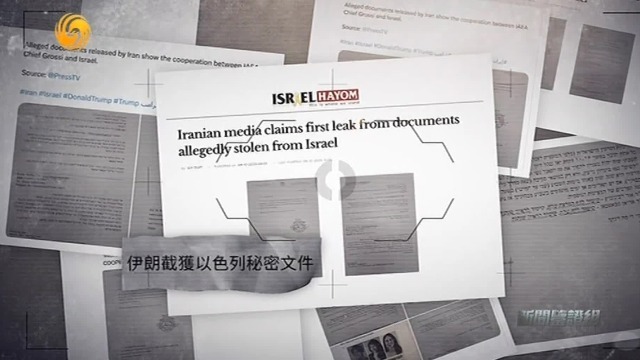 国际原子能机构被指控将伊朗核信息泄露给以色列，是真是假？