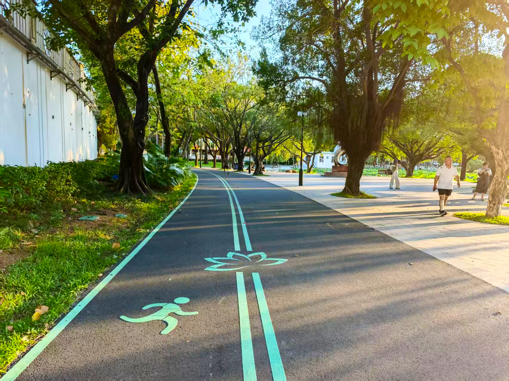 洪湖公园焕新,生态人文融合打造 “荷风印象”