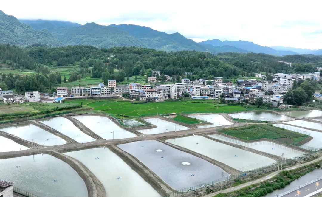 岑巩县凯本镇佛黔协作水产养殖基地鱼池（万再祥 摄）