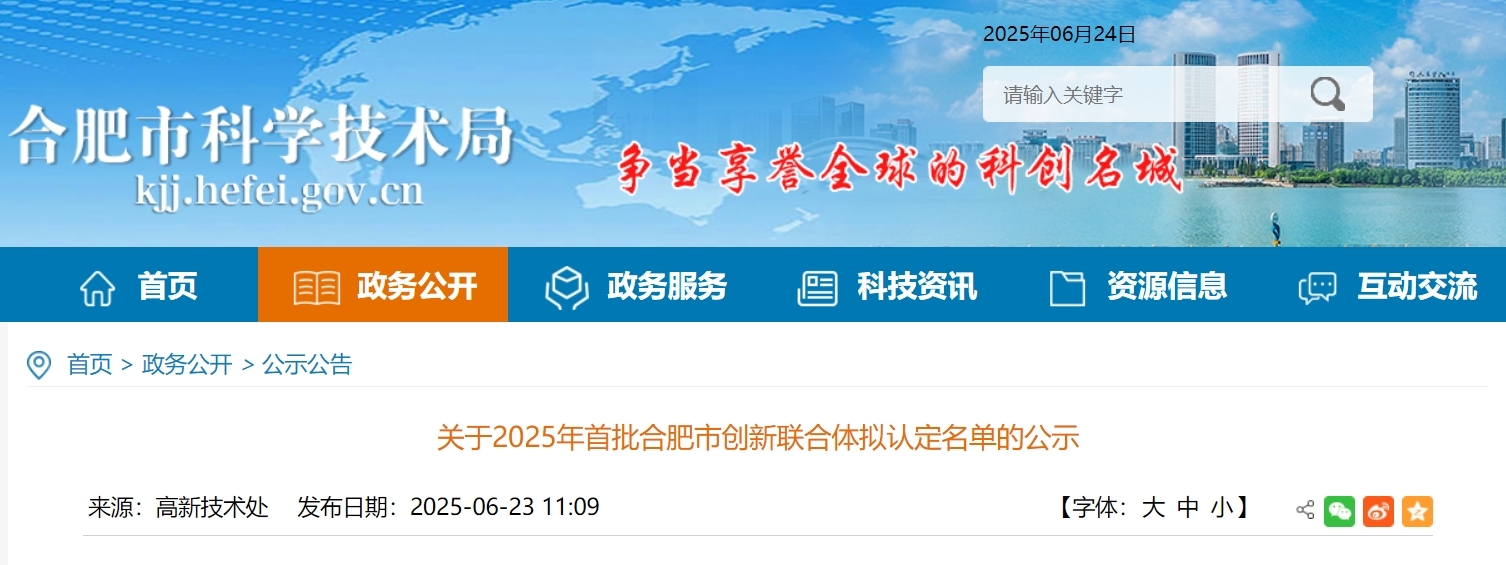 2025年首批！合肥市创新联合体拟认定名单的公示